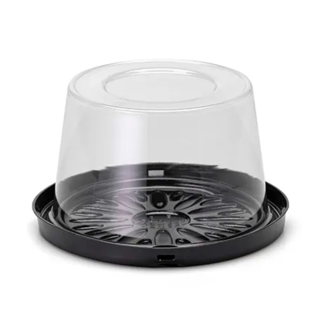 shopee - 2026-03-23T145236.325 G31CT Bolo Mono Porção (300g) - Galvanotek - Imagem 1