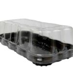 G61F Torta Catarina (0,5kg) - Galvanotek