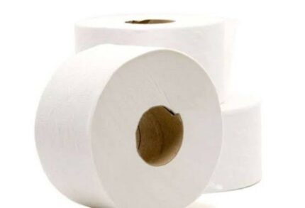 Papel Higiênico Institucional Rolão Folha Simples Luxo (300m) - Isapel