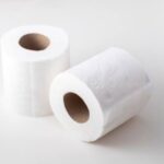 Papel Higiênico Comum Folha Dupla (20m) - Stylus