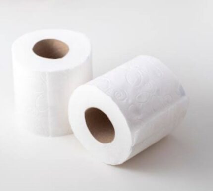 Papel Higiênico Comum Folha Dupla (20m) - Stylus