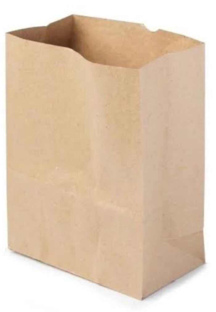 Saco Kraft (G) - Pluma - Imagem 1